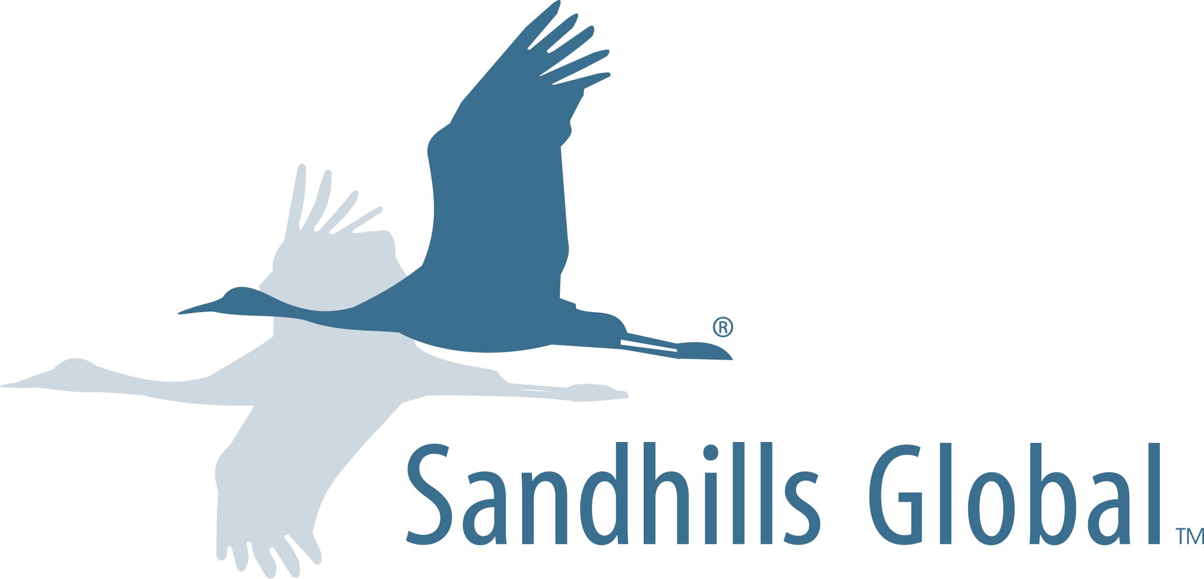 Sandhills Global
