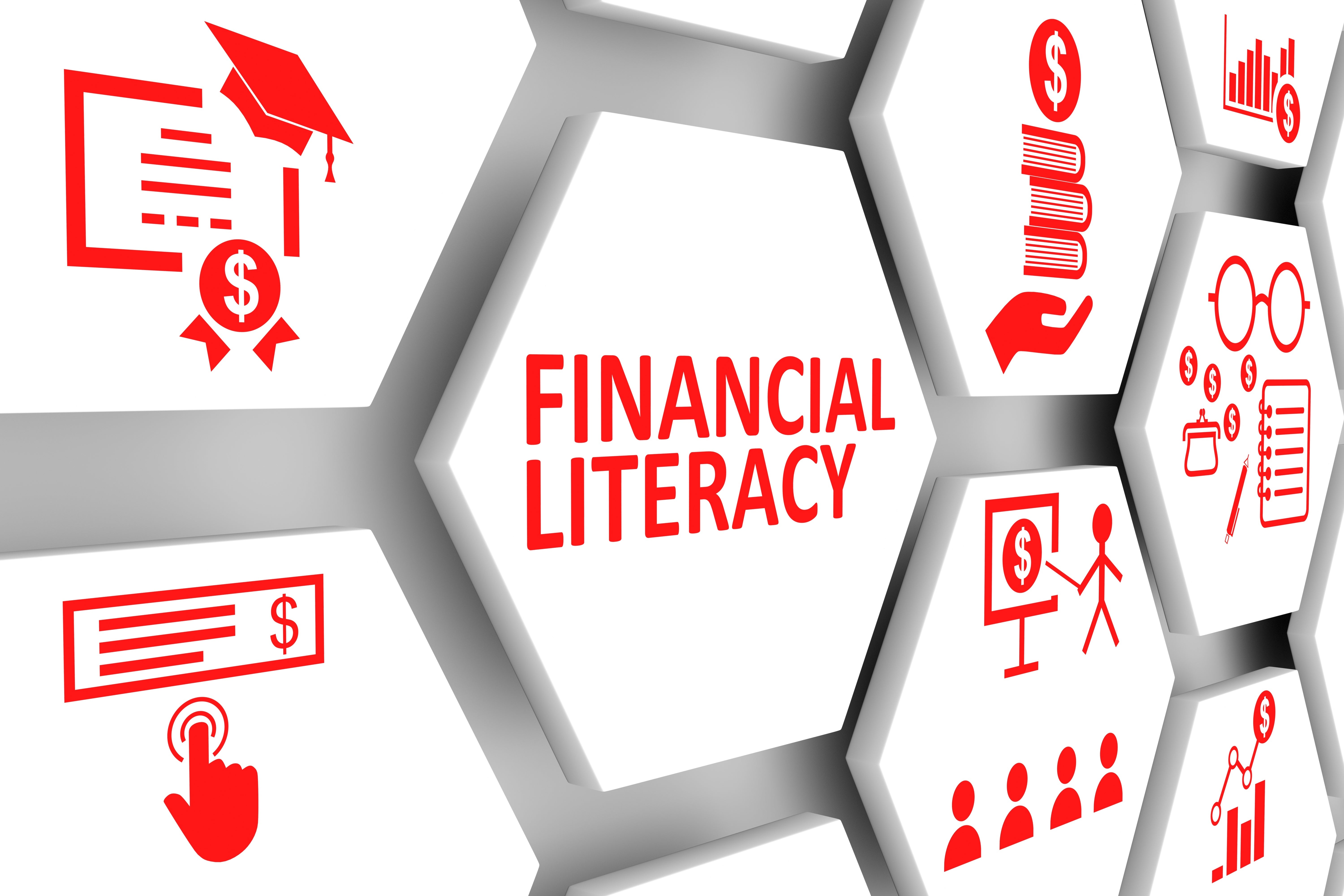 Financial Literacy courses