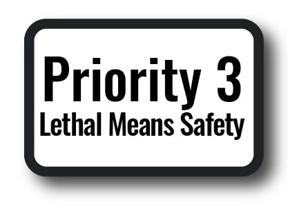Priority Group 3 - Lethal Means Safety